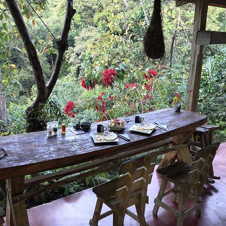 Finca San Rafael - Cafe Y Cacao مينسا المظهر الخارجي الصورة