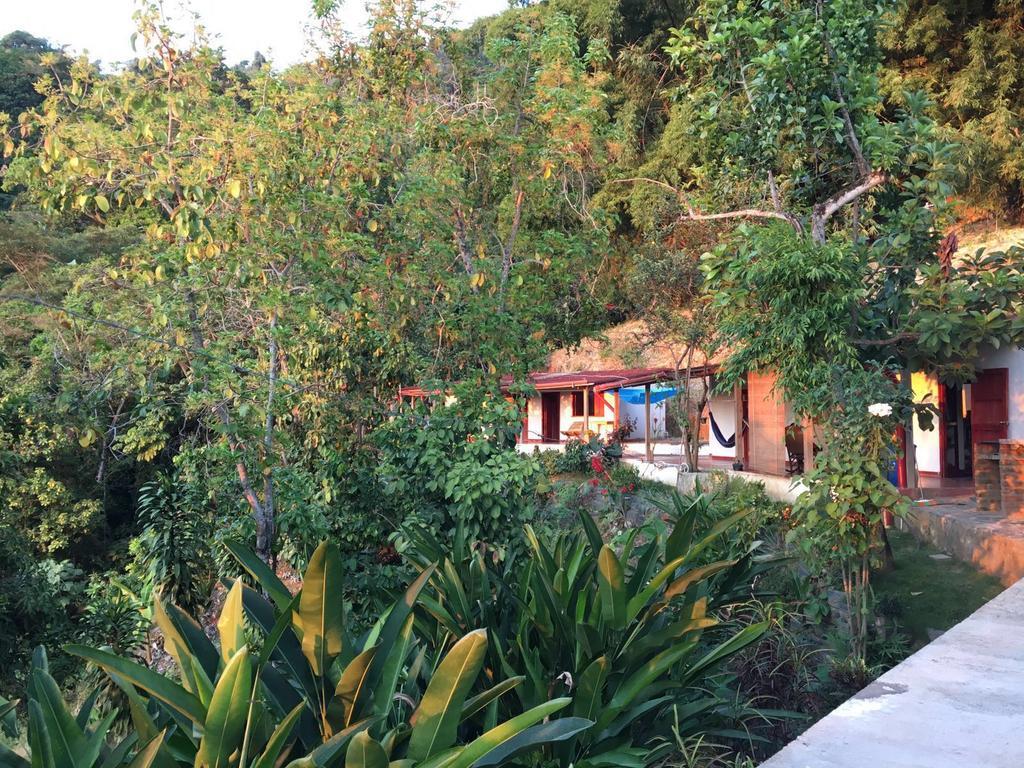 Finca San Rafael - Cafe Y Cacao مينسا المظهر الخارجي الصورة