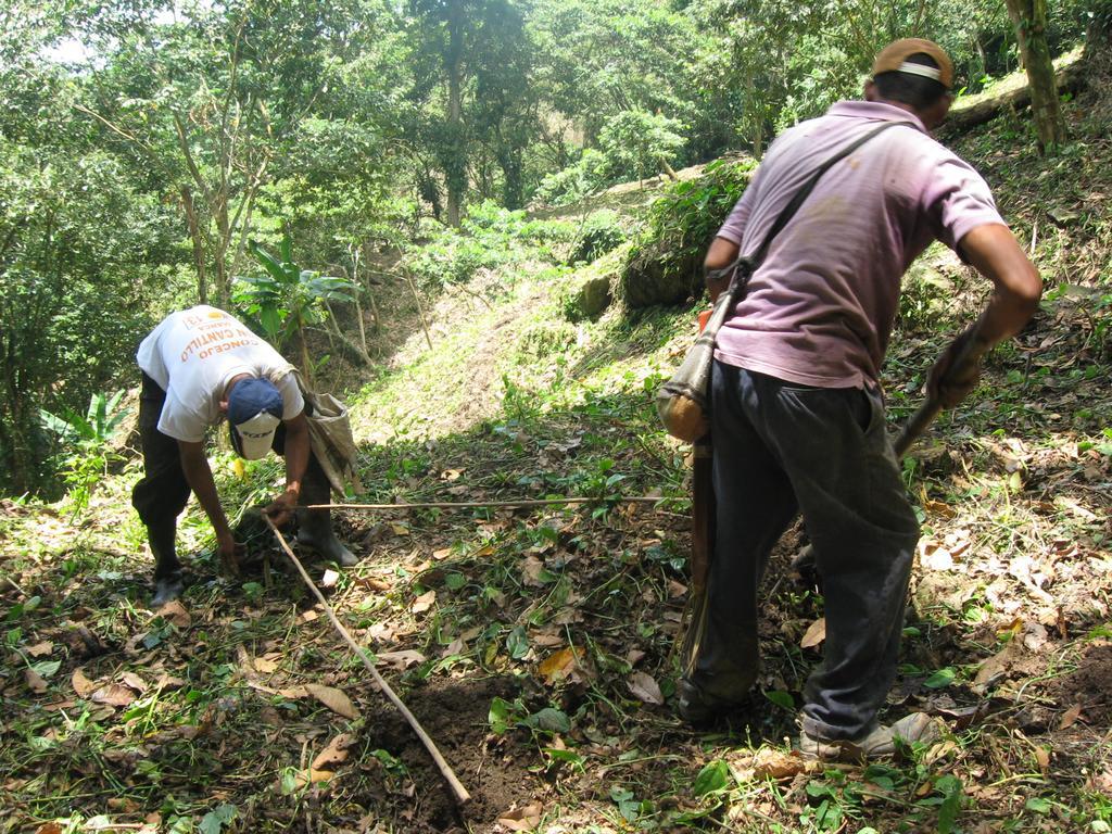 Finca San Rafael - Cafe Y Cacao مينسا المظهر الخارجي الصورة
