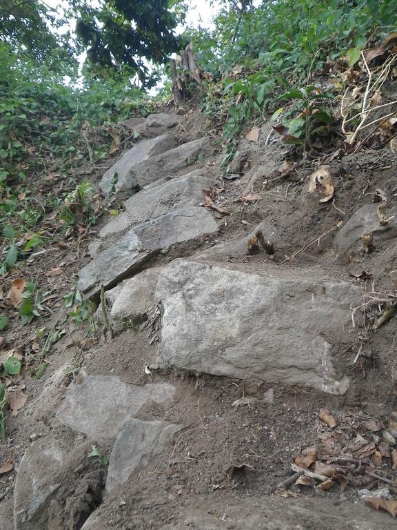 Finca San Rafael - Cafe Y Cacao مينسا المظهر الخارجي الصورة