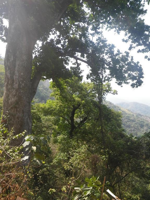 Finca San Rafael - Cafe Y Cacao مينسا المظهر الخارجي الصورة