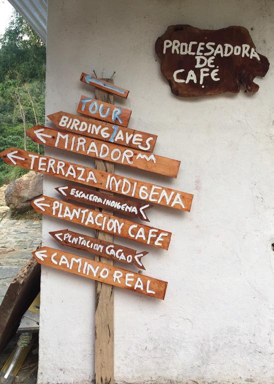 Finca San Rafael - Cafe Y Cacao مينسا المظهر الخارجي الصورة