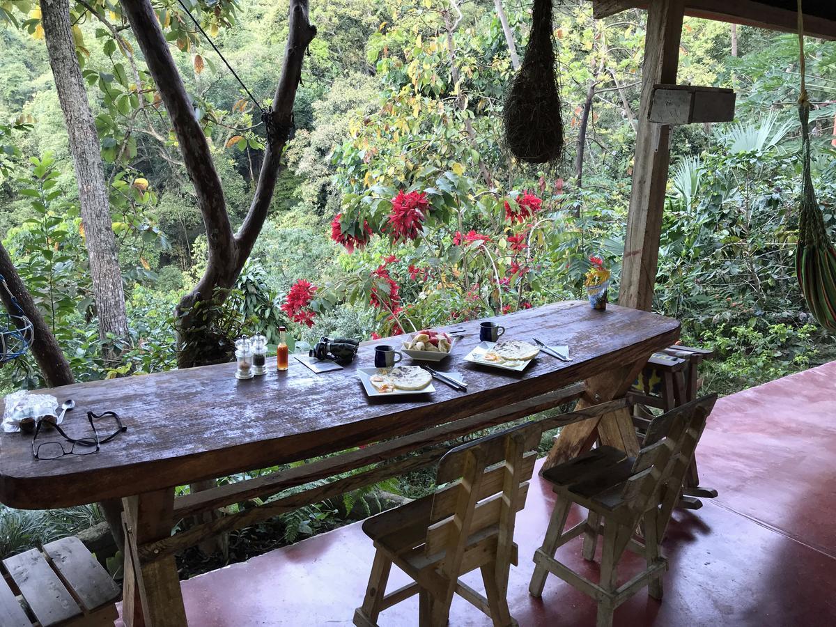 Finca San Rafael - Cafe Y Cacao مينسا المظهر الخارجي الصورة